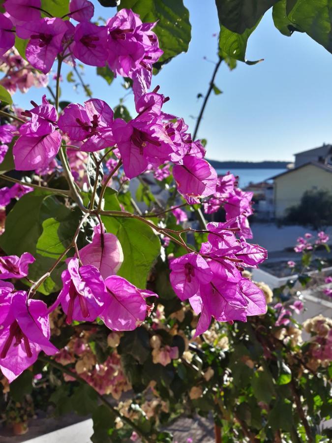 Villa Calypso Trogir Kültér fotó